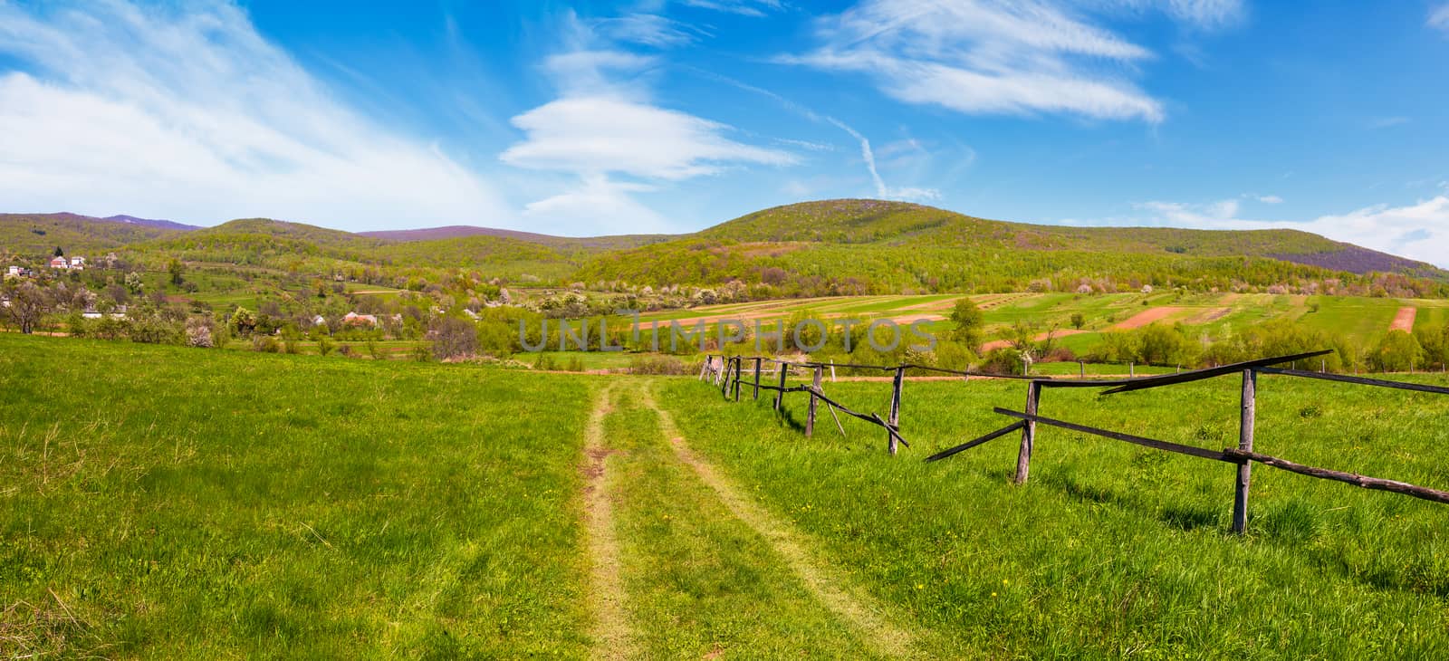 panorama of mountainous rural area in springtime. lovely countryside scenery with wooden fence along the country road in the village outskirts
