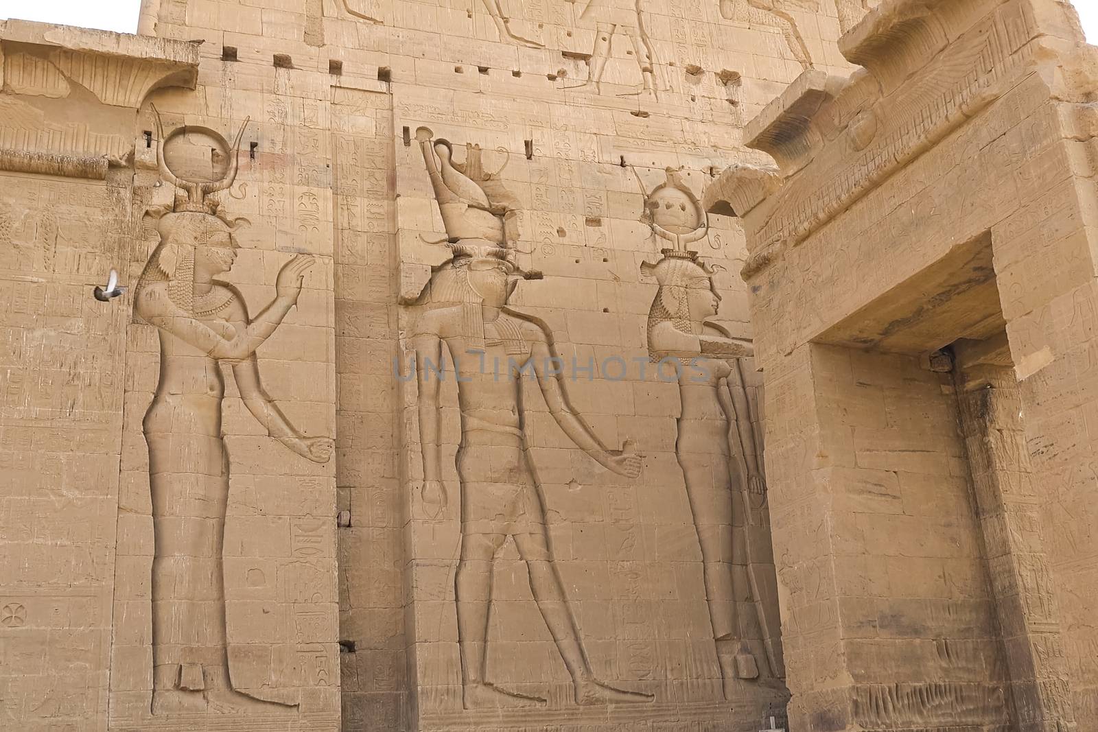 Egyptian hieroglyphs and drawings on the walls and columns. Egyptian language, The life of ancient gods and people in hieroglyphics and drawings