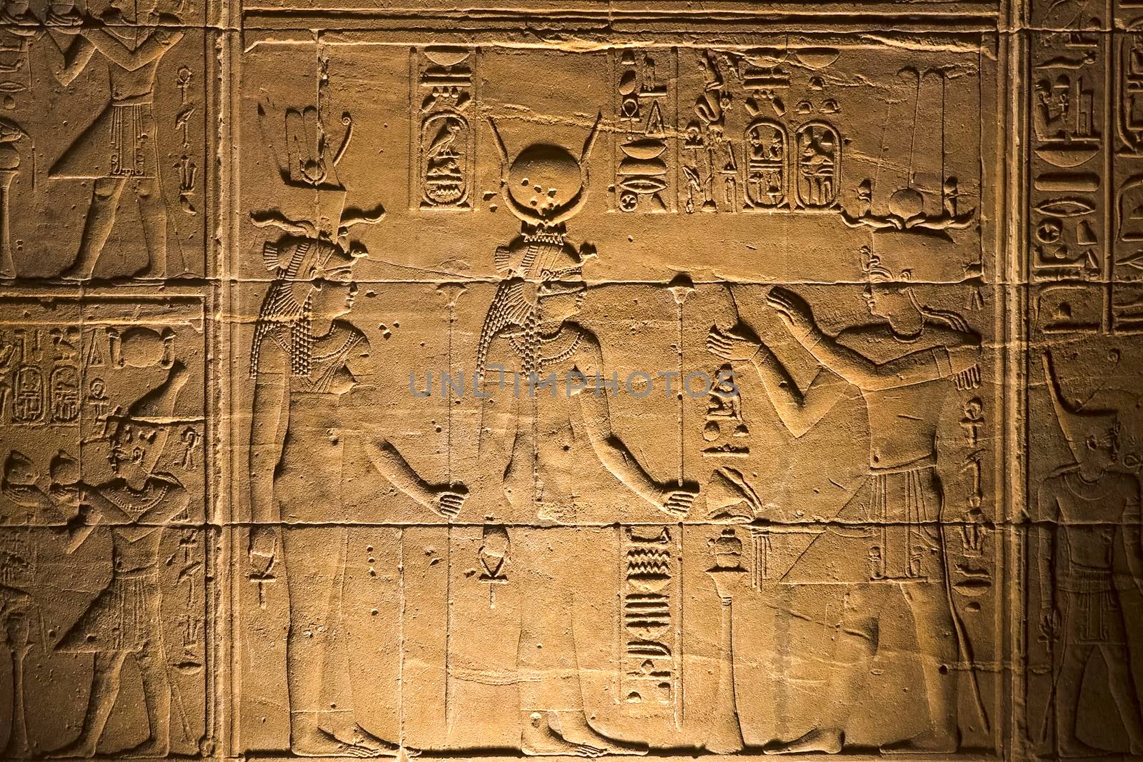 Egyptian hieroglyphs and drawings on the walls and columns. Egyptian language, The life of ancient gods and people in hieroglyphics and drawings