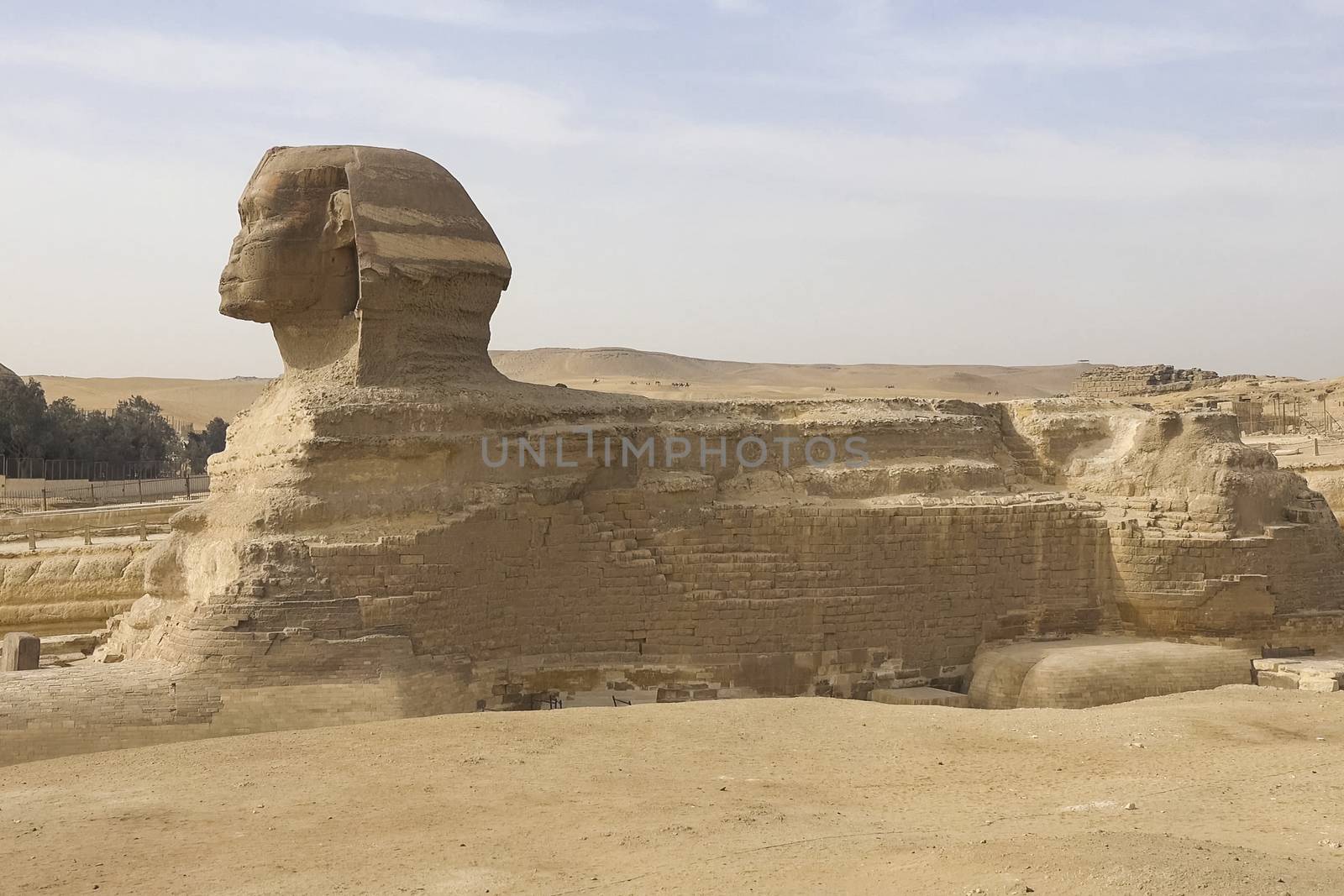 The Great Sphinx. Egyptian Sphinx. The seventh wonder of the world. Ancient megaliths