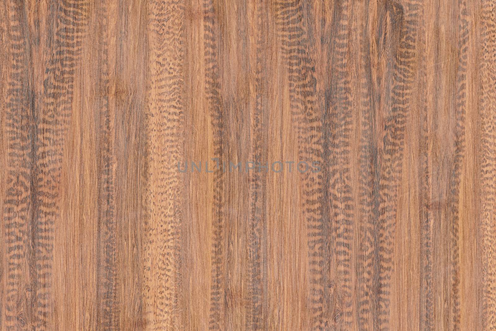 Wood texture with natural patterns, brown wooden texture. by ivo_13