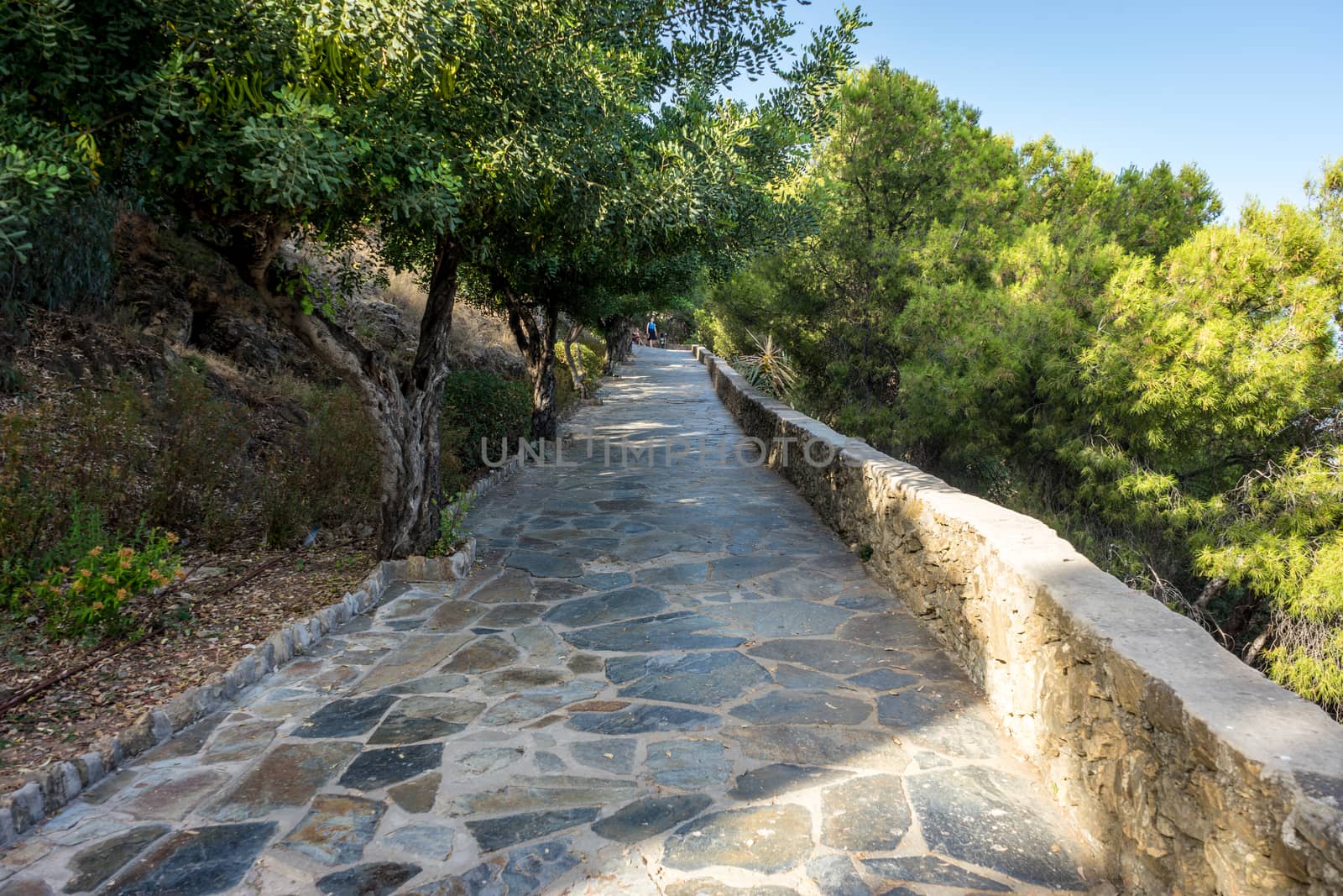 Stone pathway leading up the hill overlooking Malaga, Spain, Europe with trees on either side on a bright summer day