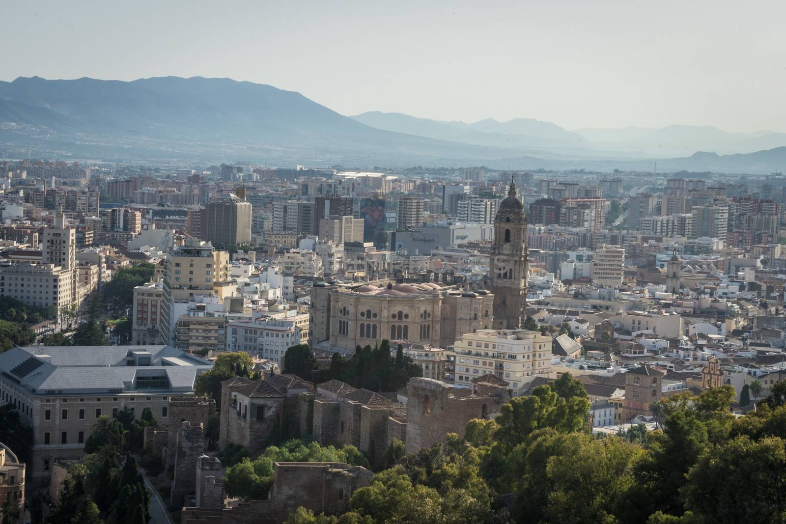 Cityscape aerial view of Malaga, Spain. The Cathedral of Malaga  by ramana16