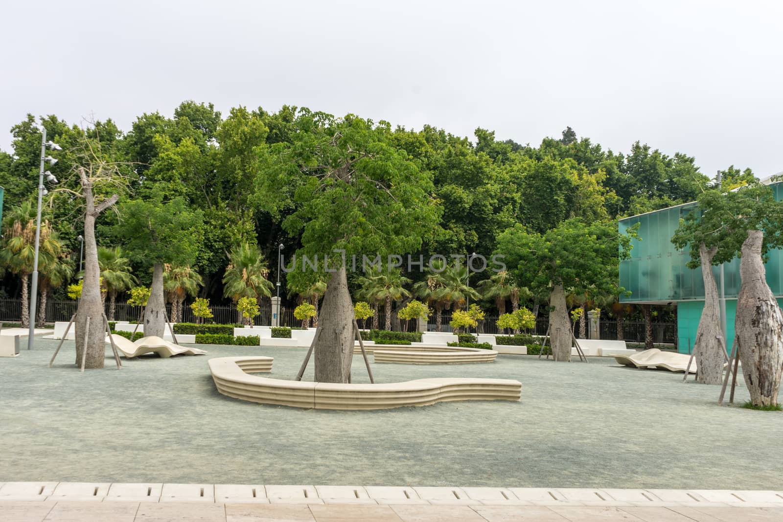 Trees along the Malagueta beach in Malaga, Spain, Europe on a cloudy morning