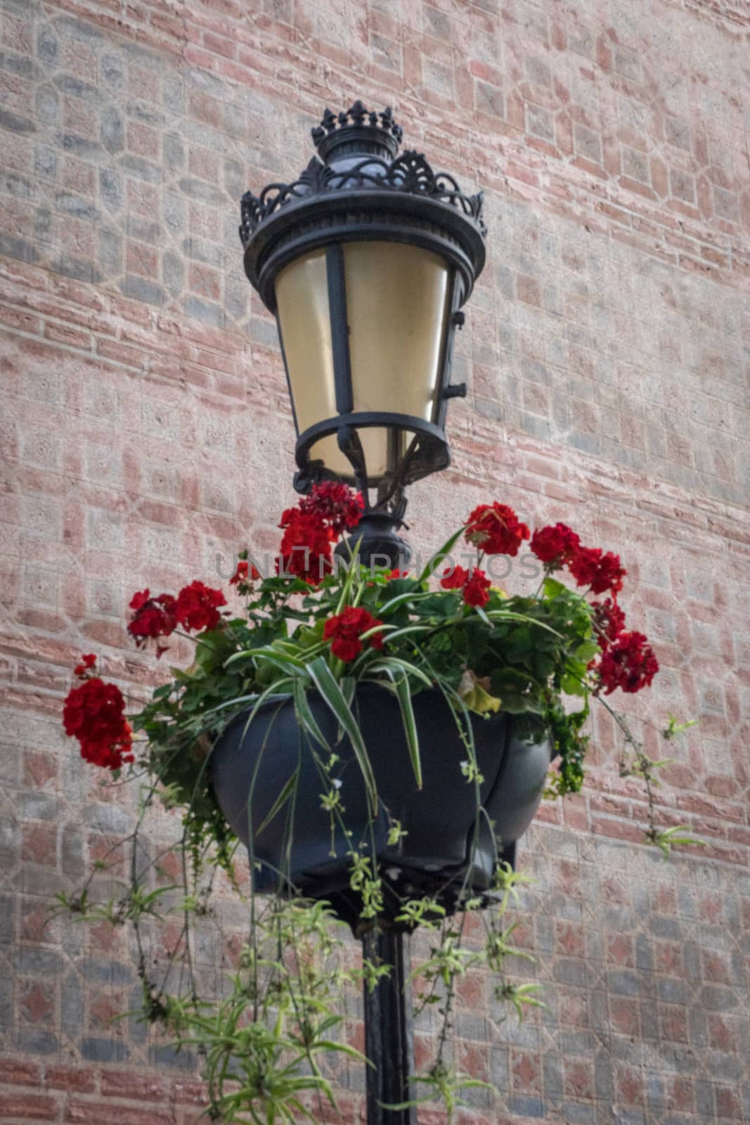 A lamp post decorated with flowers at malaga, Spain, Europe on a bright summer day