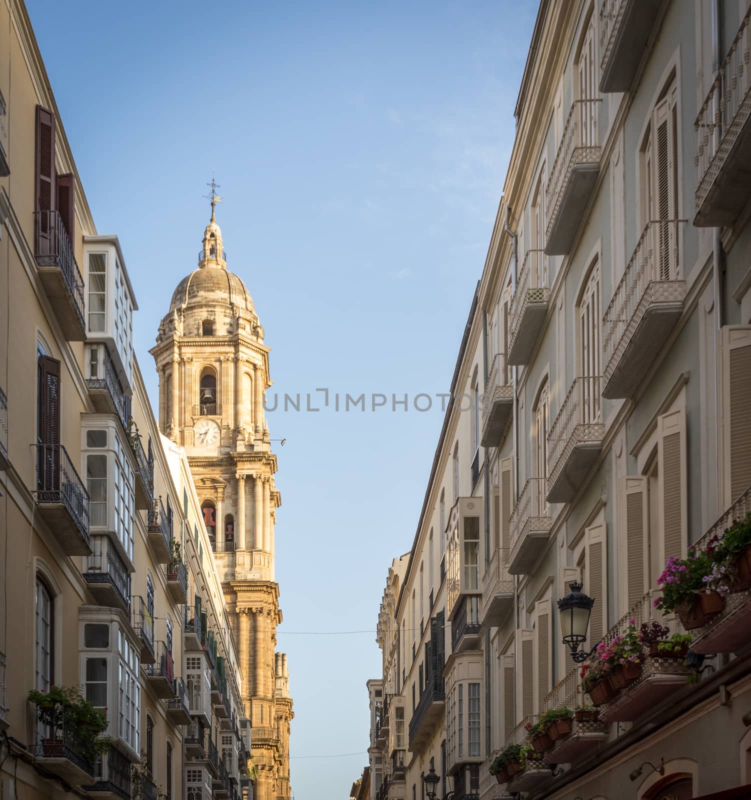 The bell tower of the church of Malaga, Spain, Europe at golden hour sunset on a summer day