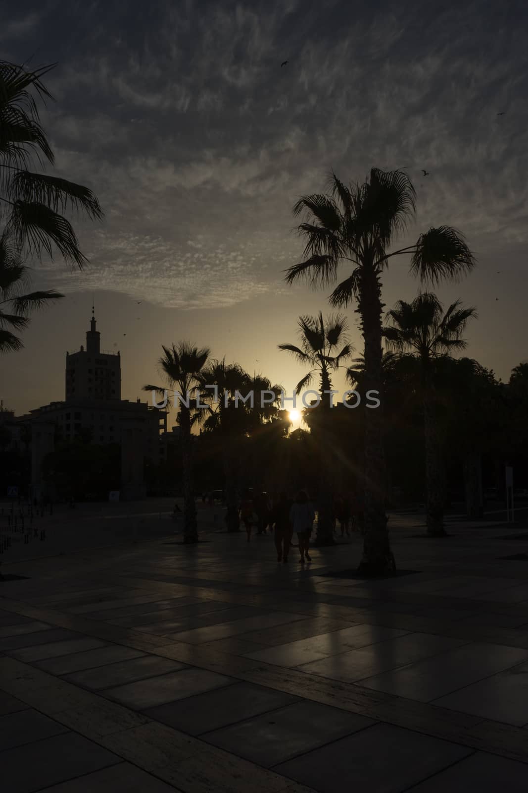 Golden sun sets behind a palm grove at Malaga, Spain, Europe on a summer day