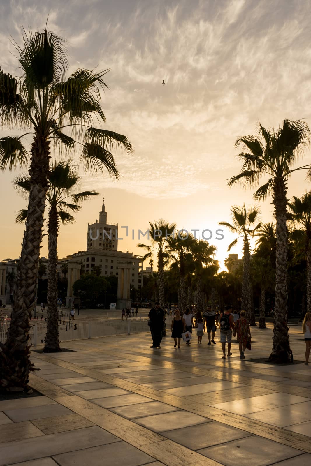 Golden sun sets behind a palm grove at Malaga, Spain, Europe on a summer day