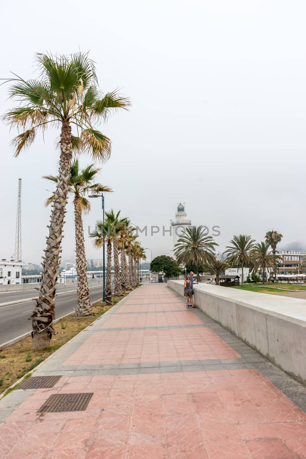 Tall palm trees along the Malaguera beach with lighthouse in the by ramana16