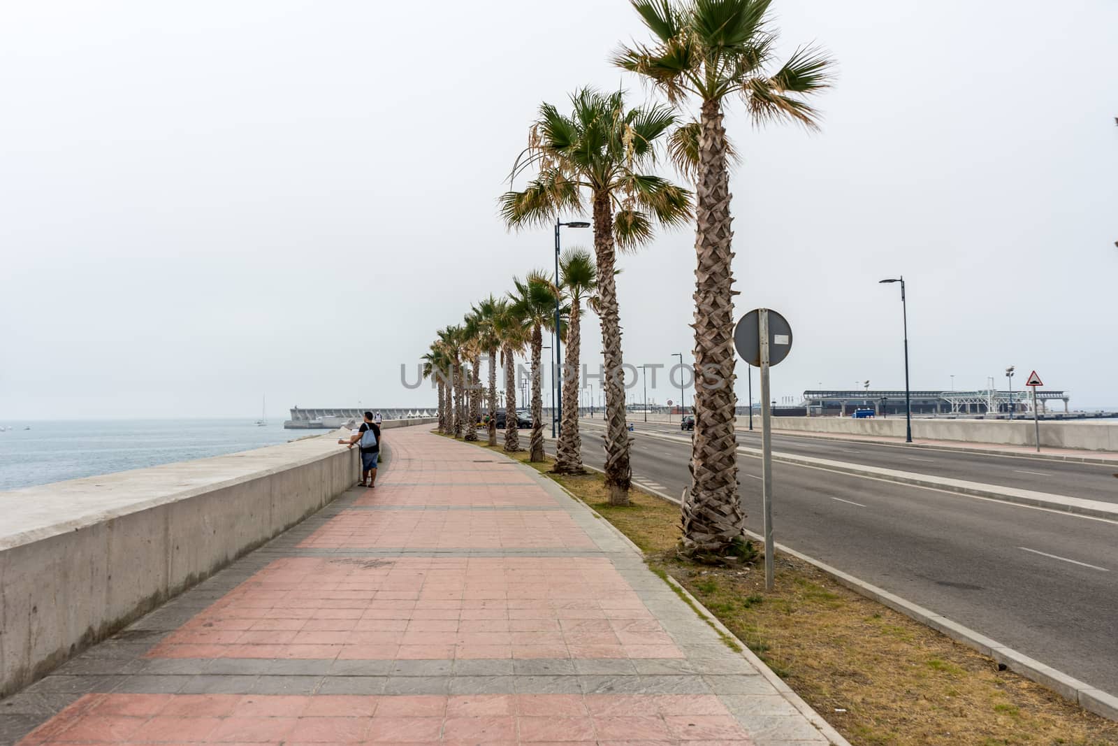 Tall palm trees along the Malaguera beach with sea in the backgr by ramana16