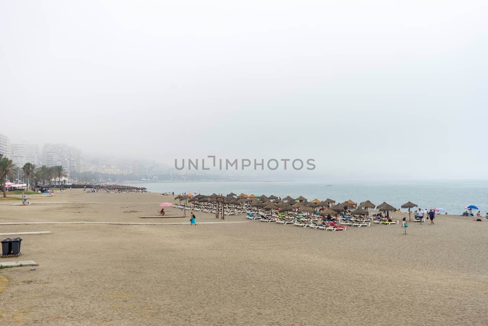 Tall palm trees along the Malaguera beach with ocean in the background in Malaga, Spain, Europe on a cloudy morning