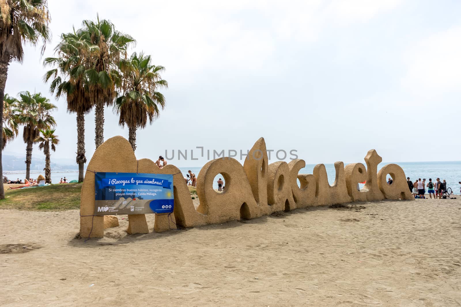 Tall palm trees along the Malaguera beach with ocean in the background in Malaga, Spain, Europe on a cloudy morning