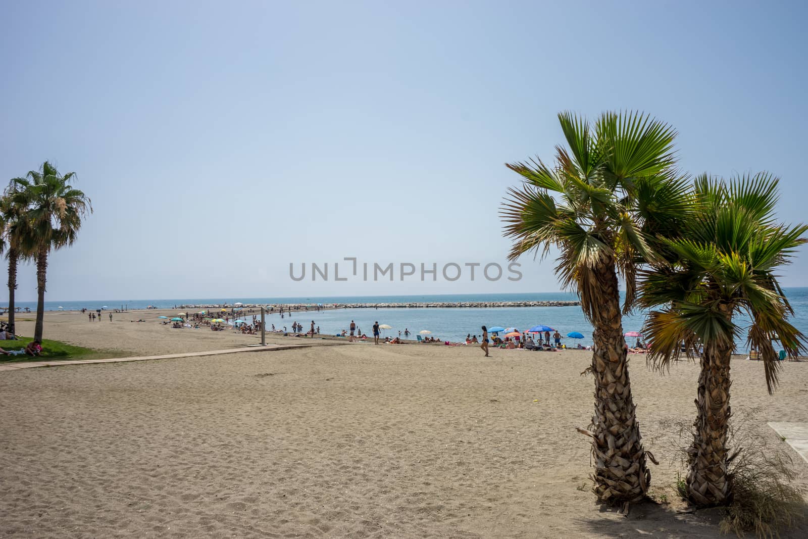 Tall twin palm trees along the Malagueta beach with ocean in the by ramana16