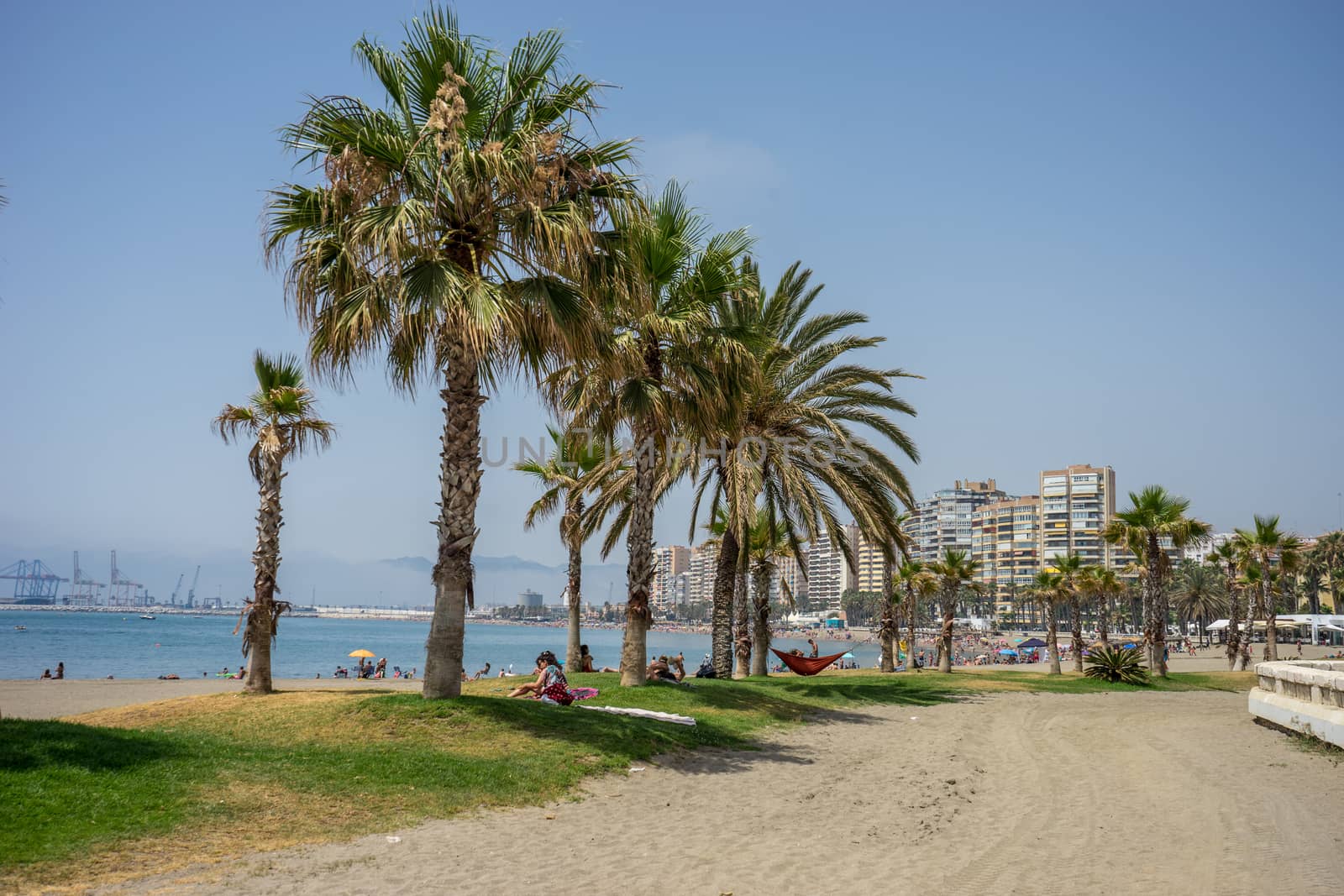 Tall twin palm trees along the Malaguera beach with ocean in the background in Malaga, Spain, Europe on a cloudy morning