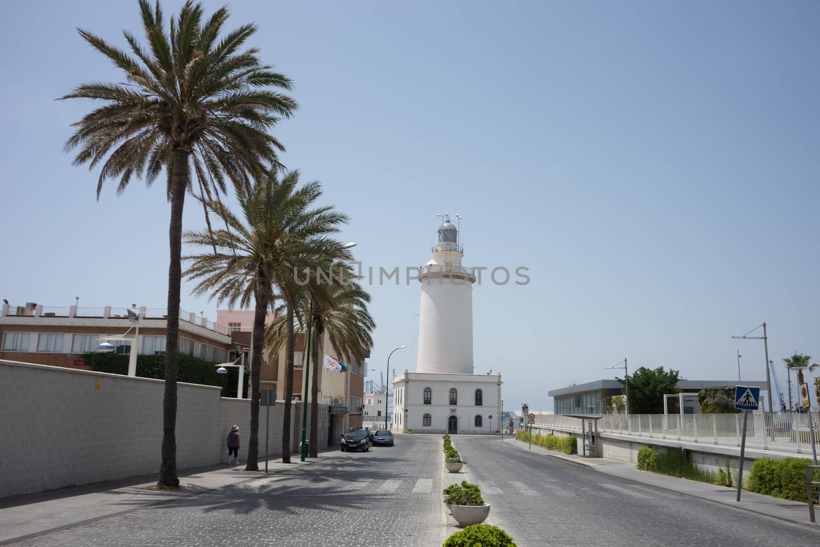 Tall palm trees in front a white lighthouse at Malagueta beach i by ramana16