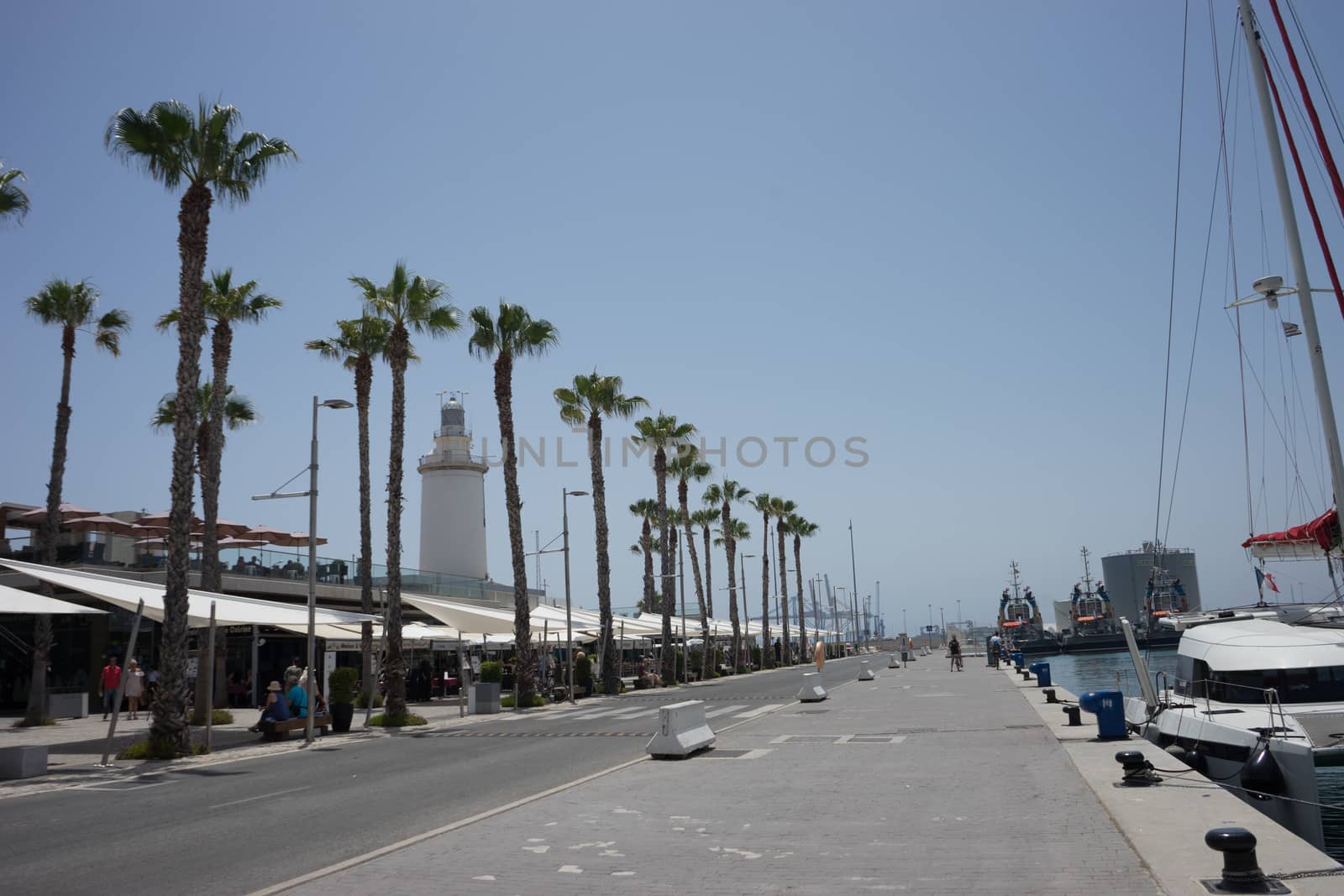 tall palm trees in front a white lighthouse at Malagueta beach in Malaga, Spain, Europe on a bright summer day with clear skies