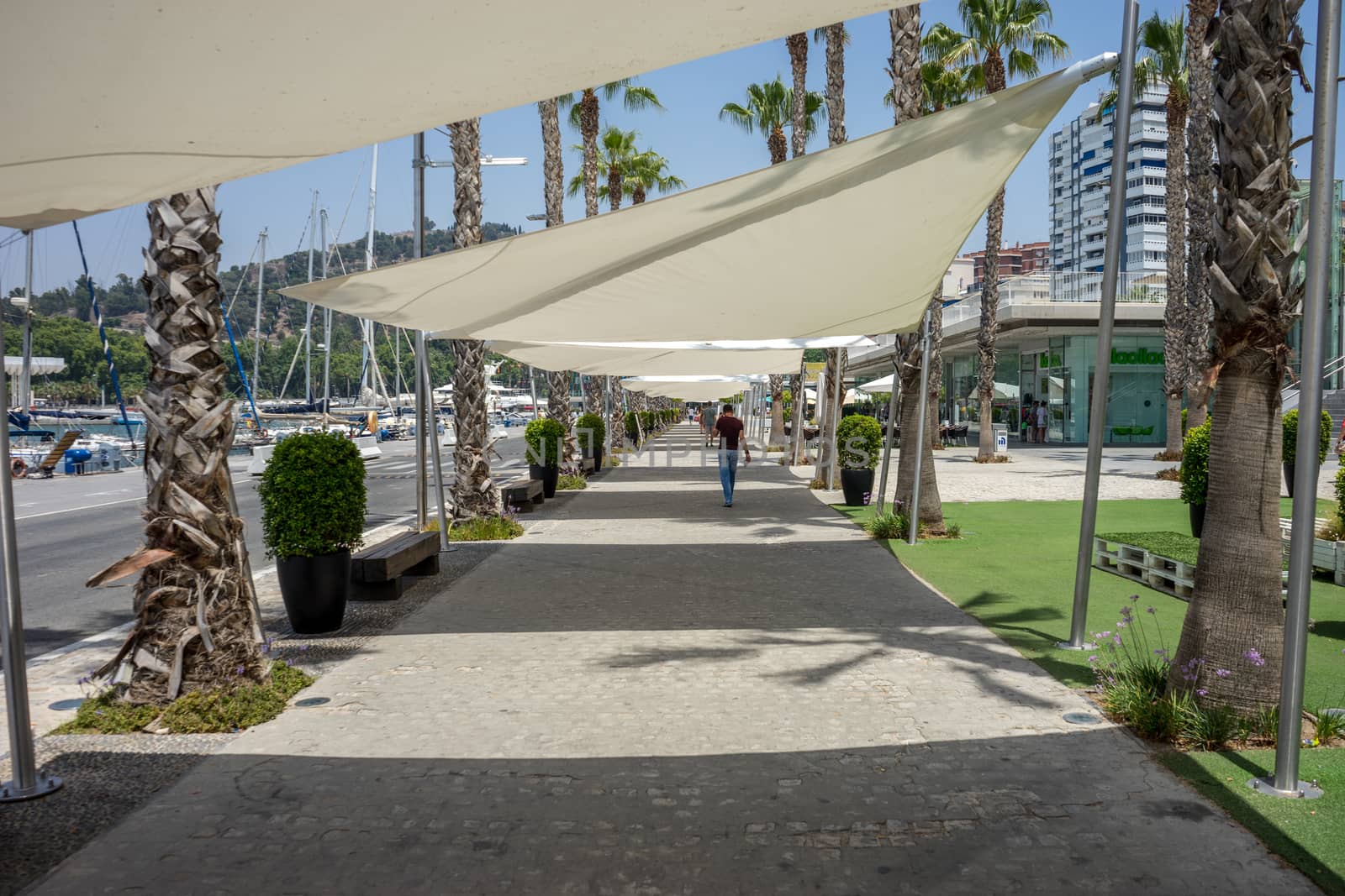 lone man walking in the shaded street at Malaga, Spain, Europe on a bright summer day