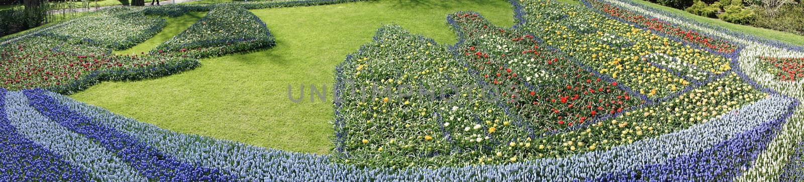 Panorama view of a flower decoration at a garden in Keukenhoff, Lisse, Netherlands, Europe on a bright summer day