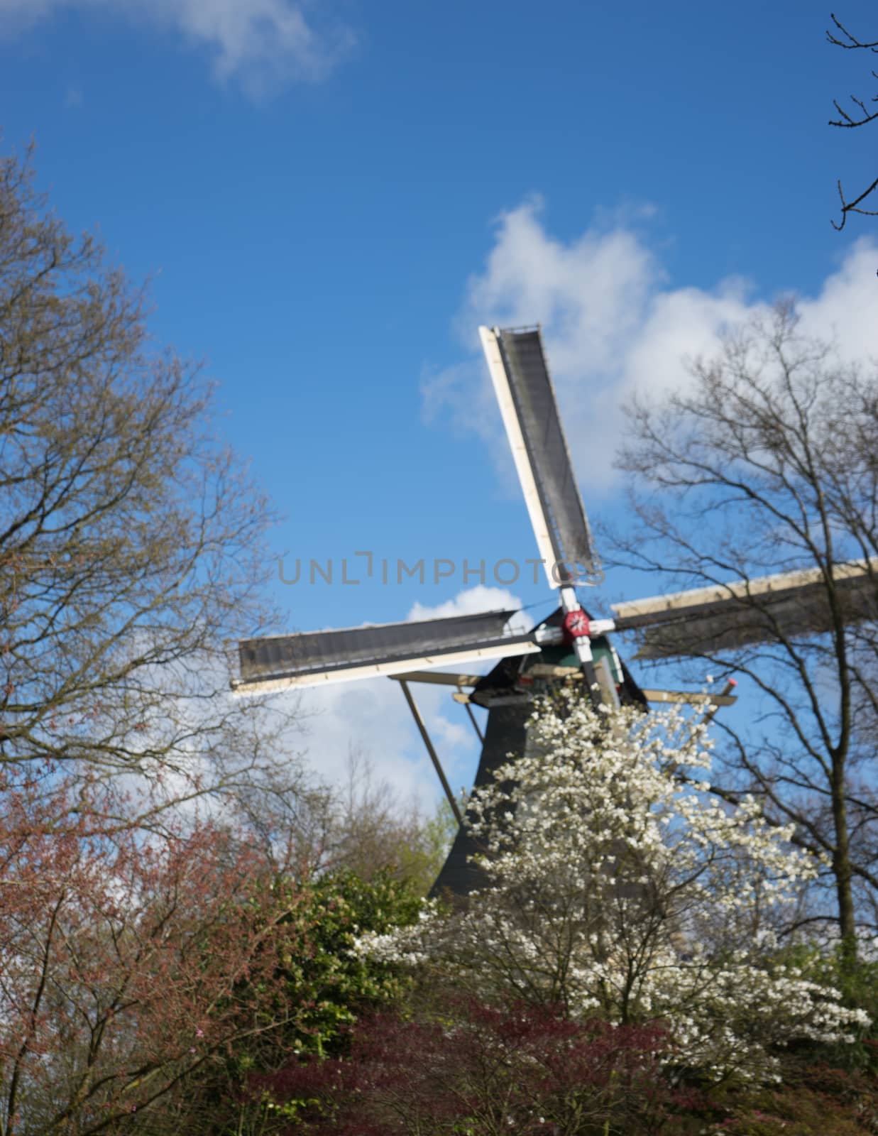 Ancient Dutch Windmill with a blue sky background in Lisse, Neth by ramana16