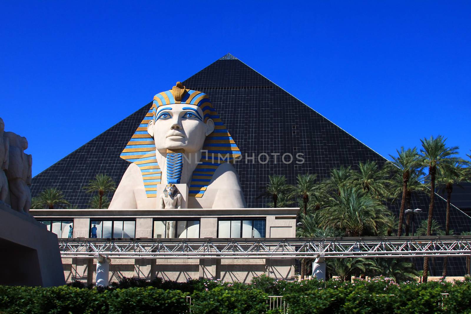 Las Vegas, USA - September 22, 2011: A glimpse at the Sphinx on the Luxor hotel ground in Las Vegas.