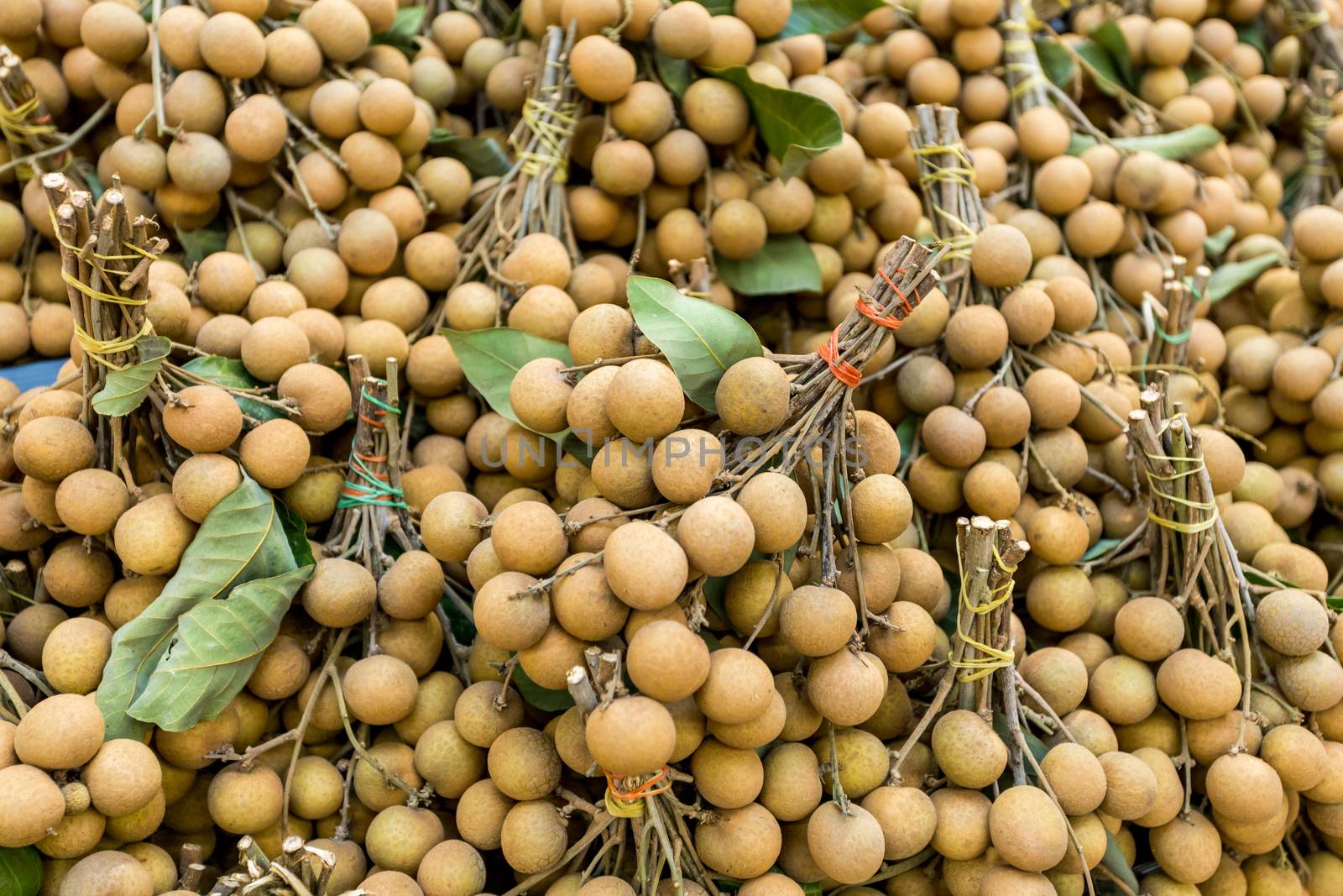 fresh longan of tropical fruit