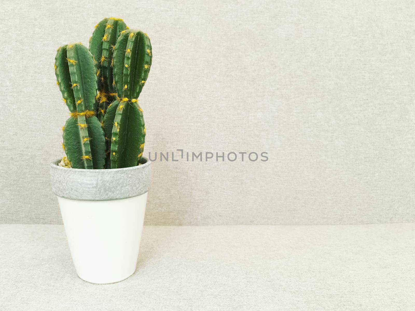 Artificial cactus in white pot. Faux plant. Contemporary home decor.
