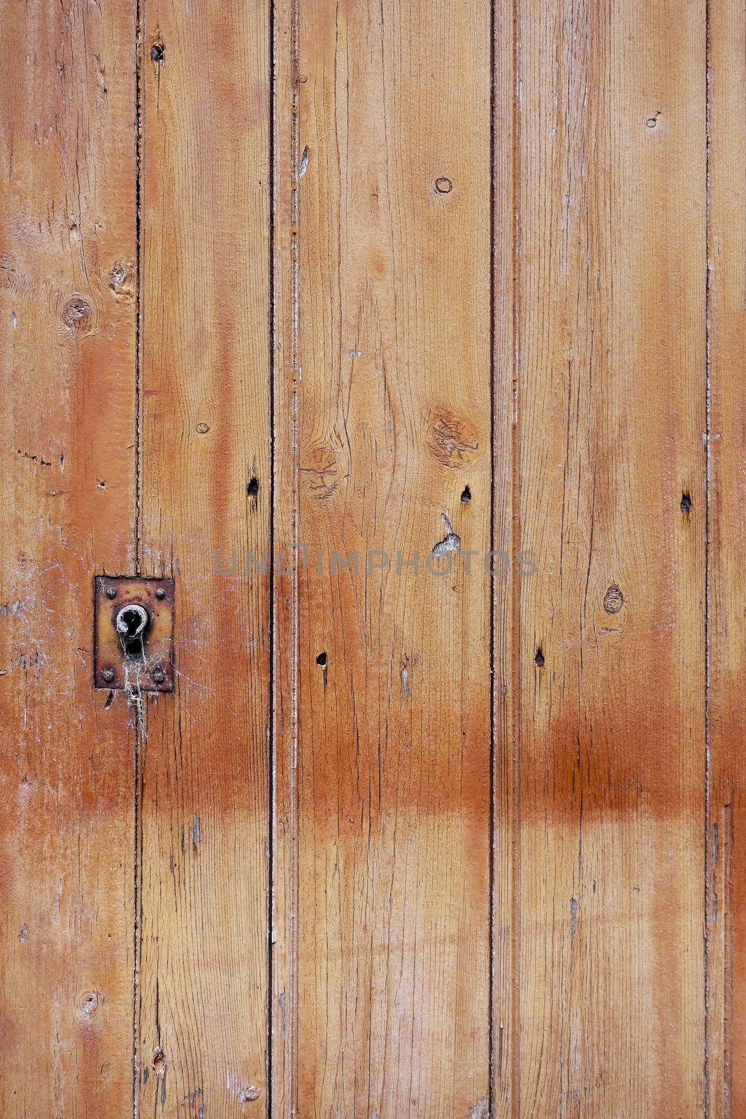 Old rough wood door background texture