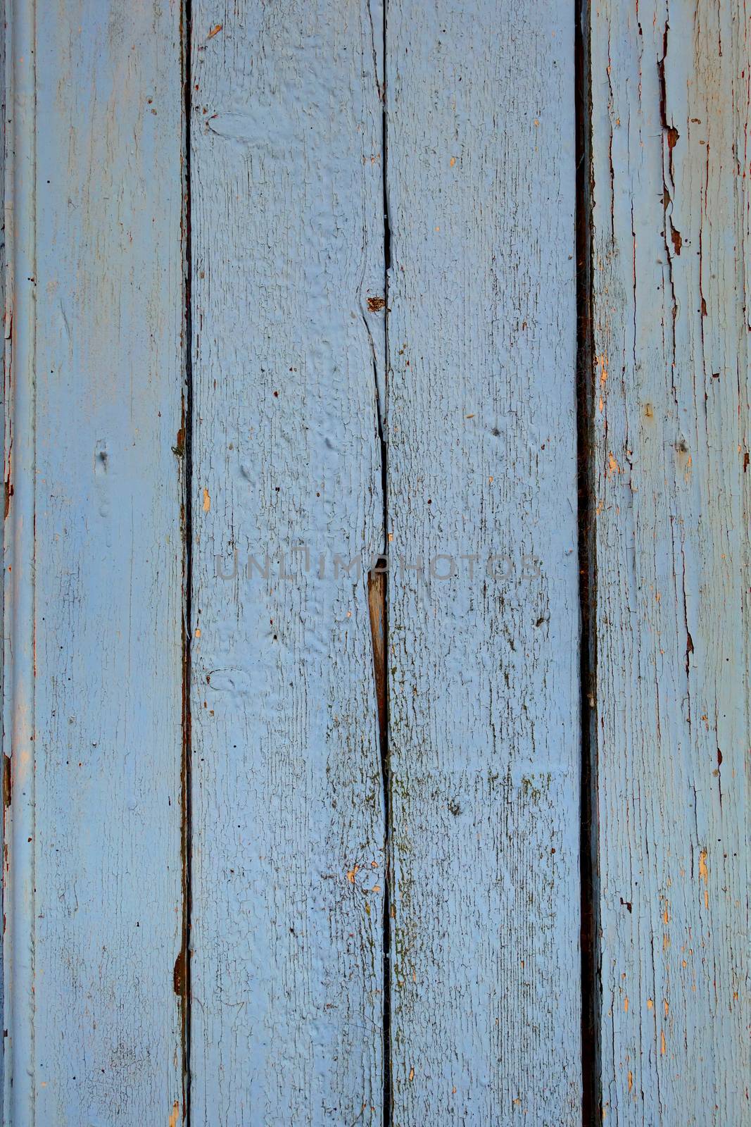 Old wood board painted blue background texture