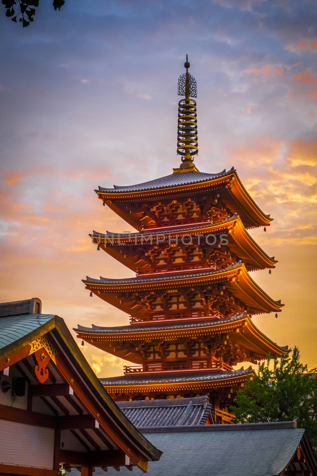 Pagoda at sunset in Senso-ji temple, Tokyo, Japan by daboost
