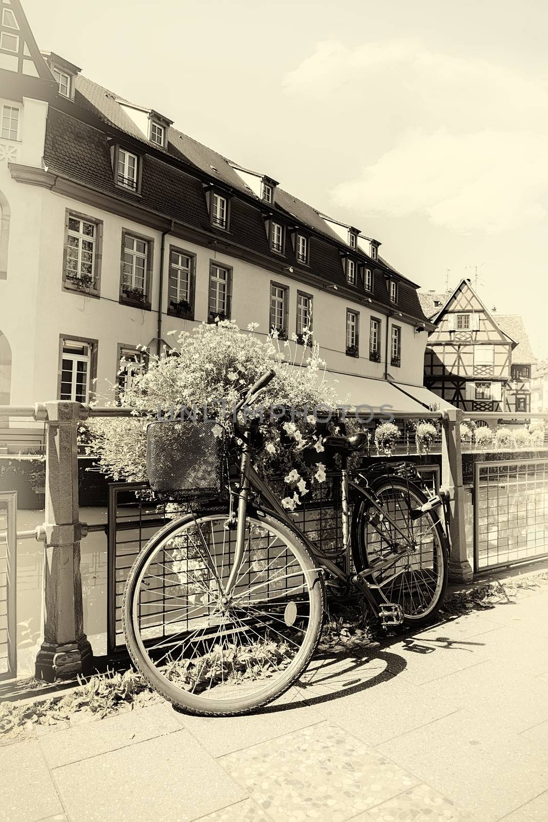 Bicycle in Strasbourg by Givaga