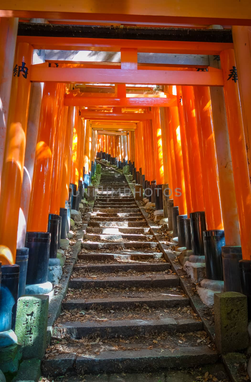 Fushimi Inari Taisha torii, Kyoto, Japan by daboost