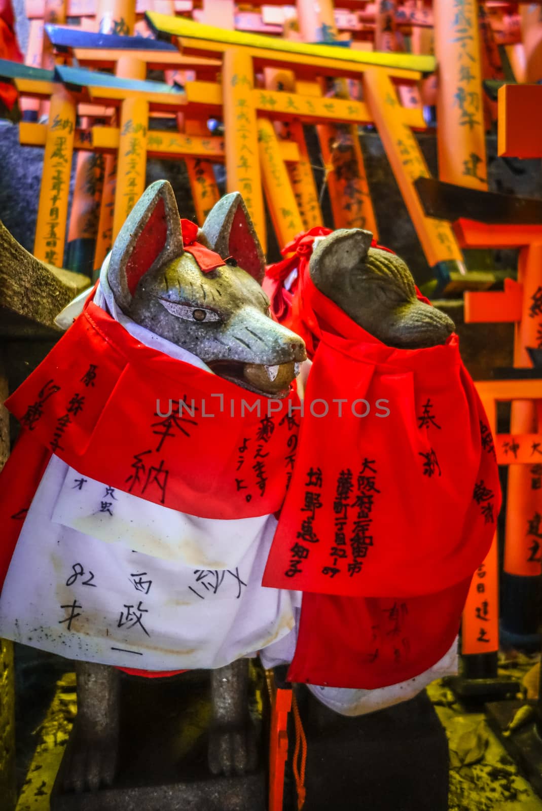 Fox statues at Fushimi Inari Taisha, Kyoto, Japan by daboost