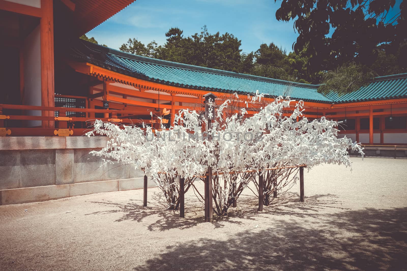 Omikuji tree Heian Jingu Shrine temple in Kyoto, Japan