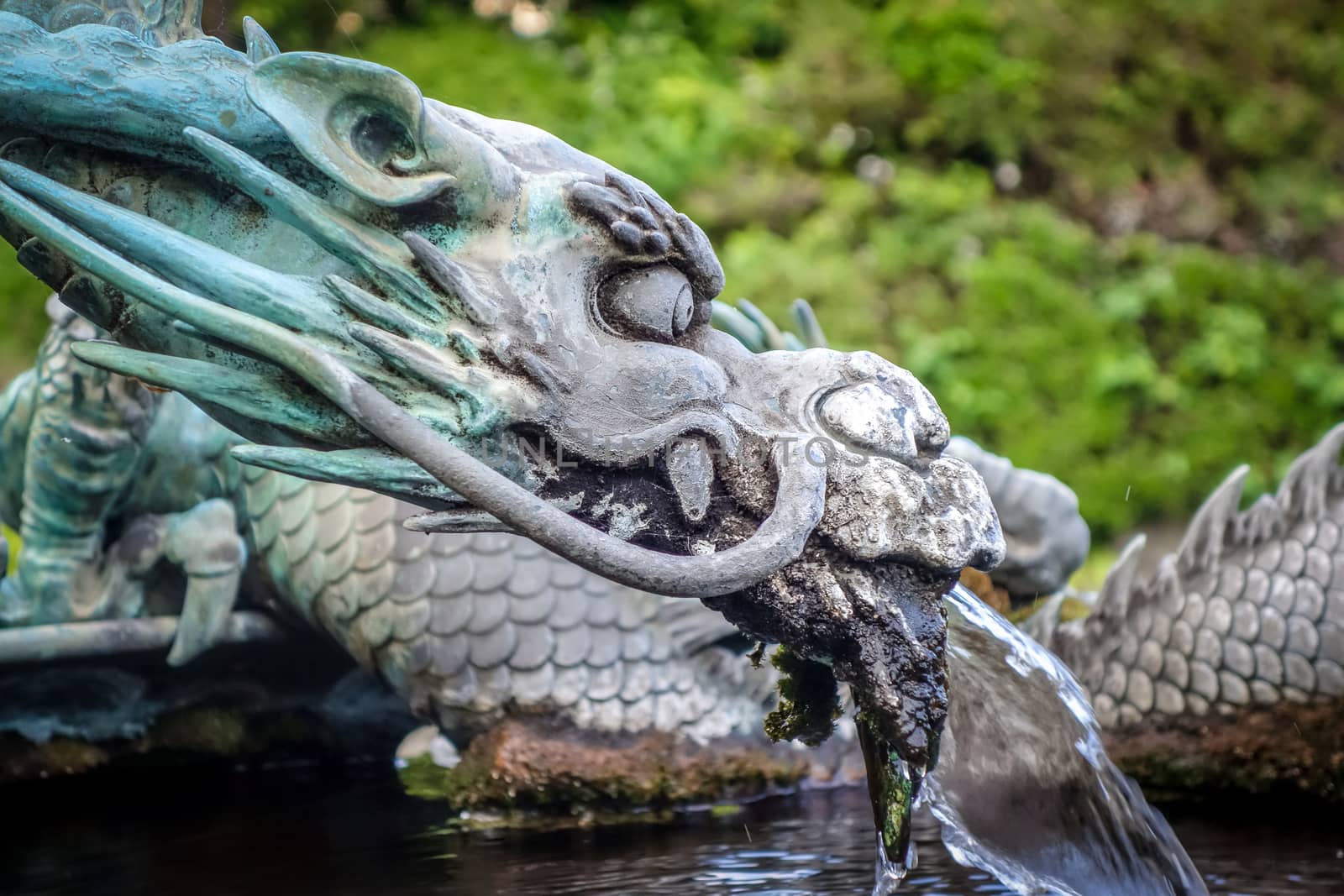 Traditional japanese dragon fountain, Nikko, Japan by daboost