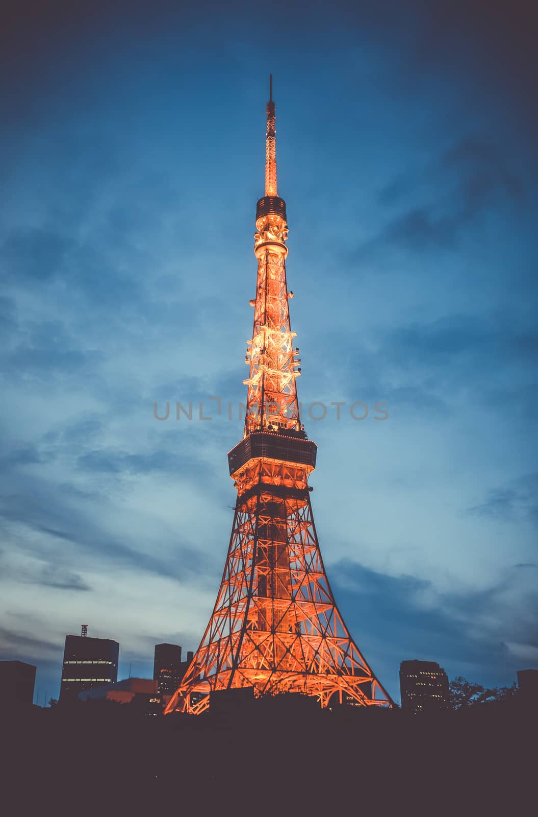 Tokyo tower at night, Japan by daboost