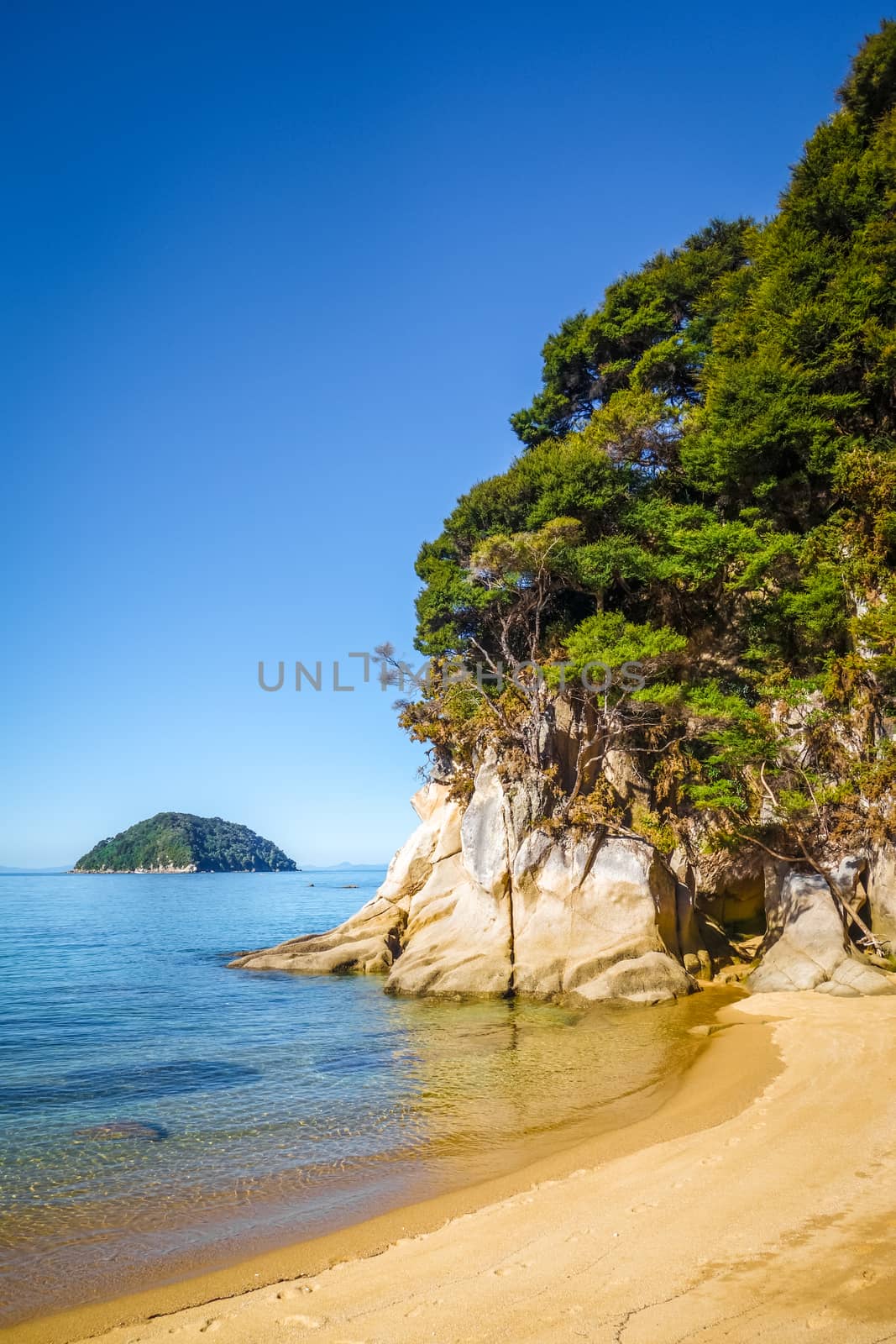 Abel Tasman National Park. White sand bay and turquoise sea. New Zealand