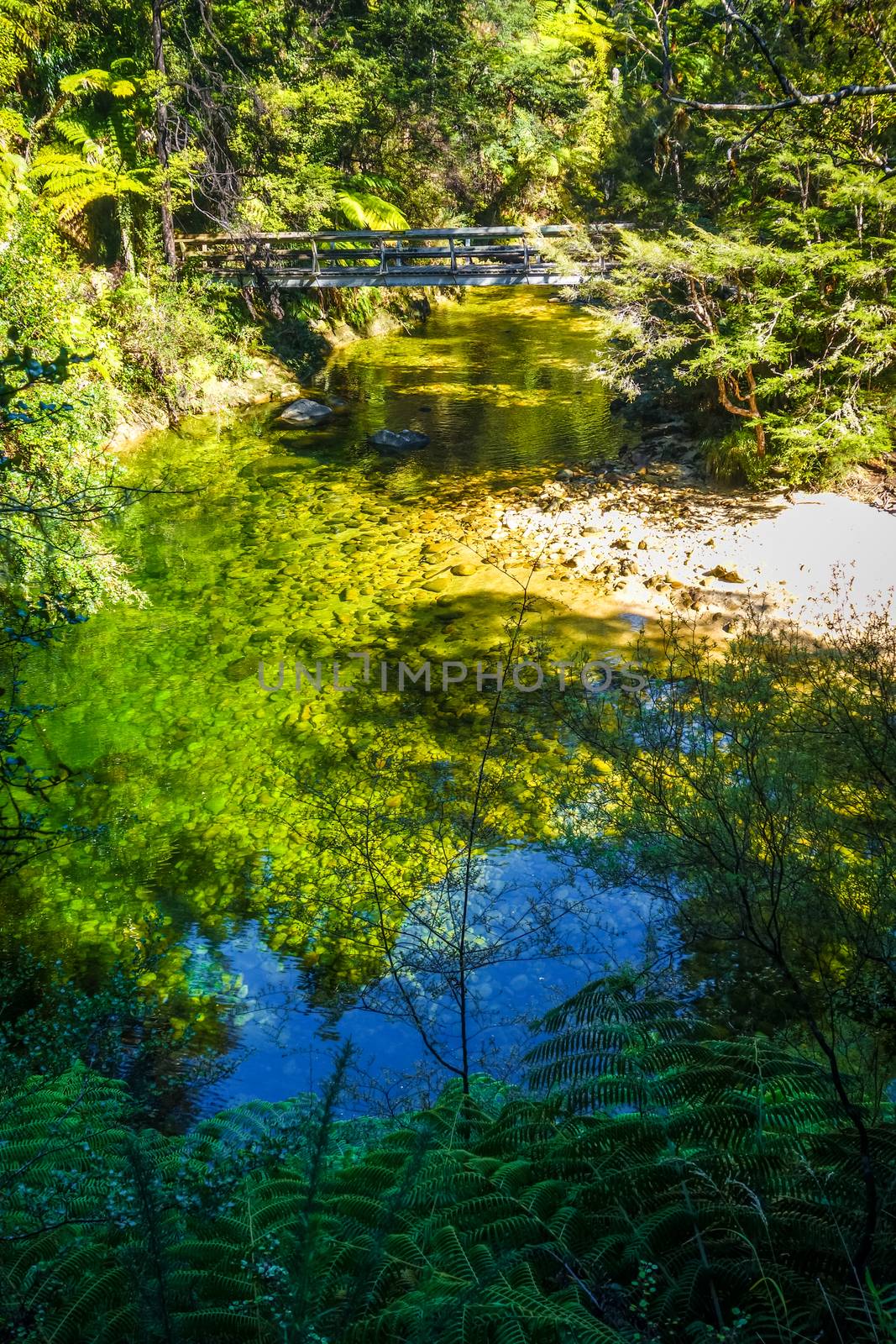 Bridge on a river. Abel Tasman National Park, New Zealand by daboost