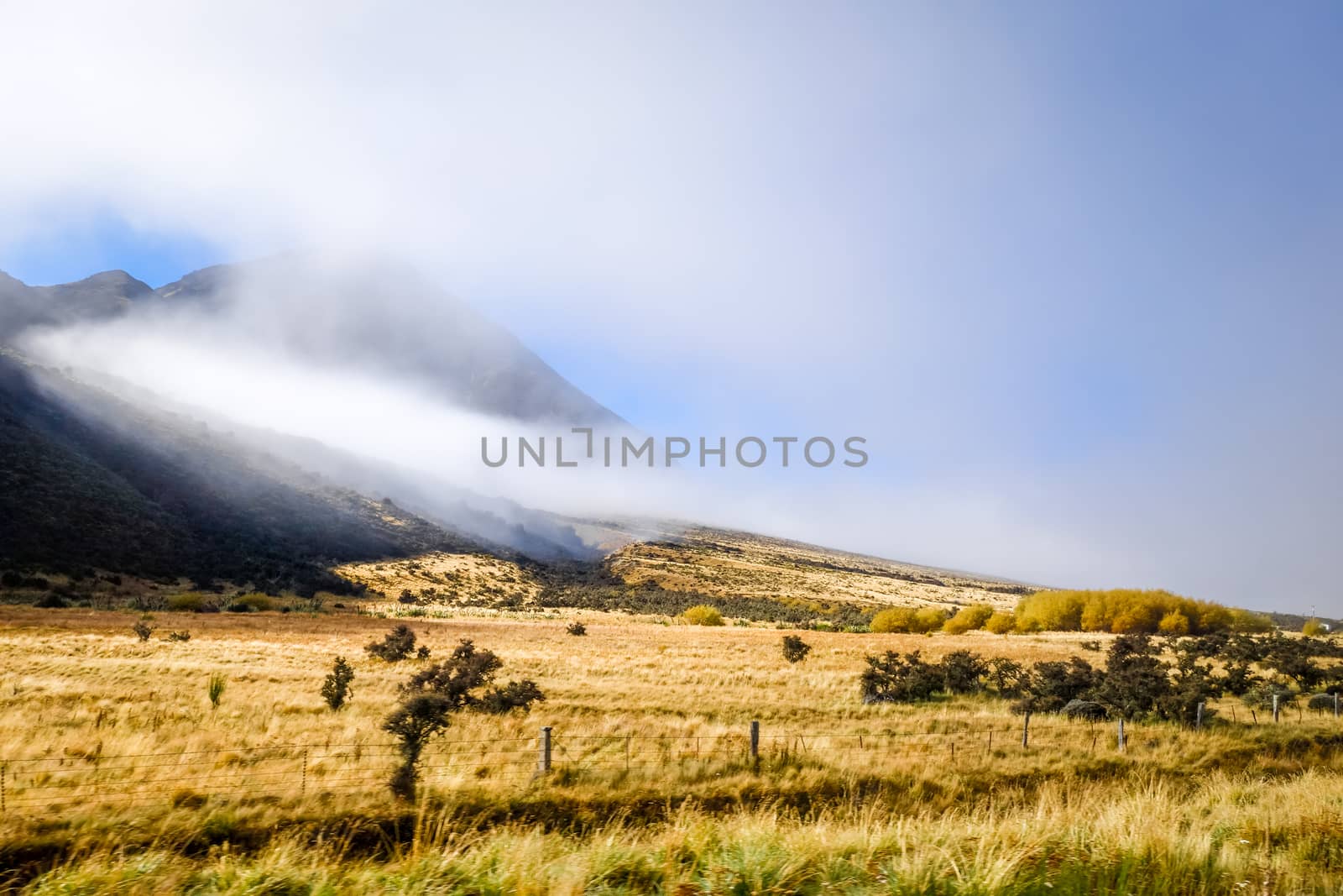 Mountain fields landscape in New Zealand alps