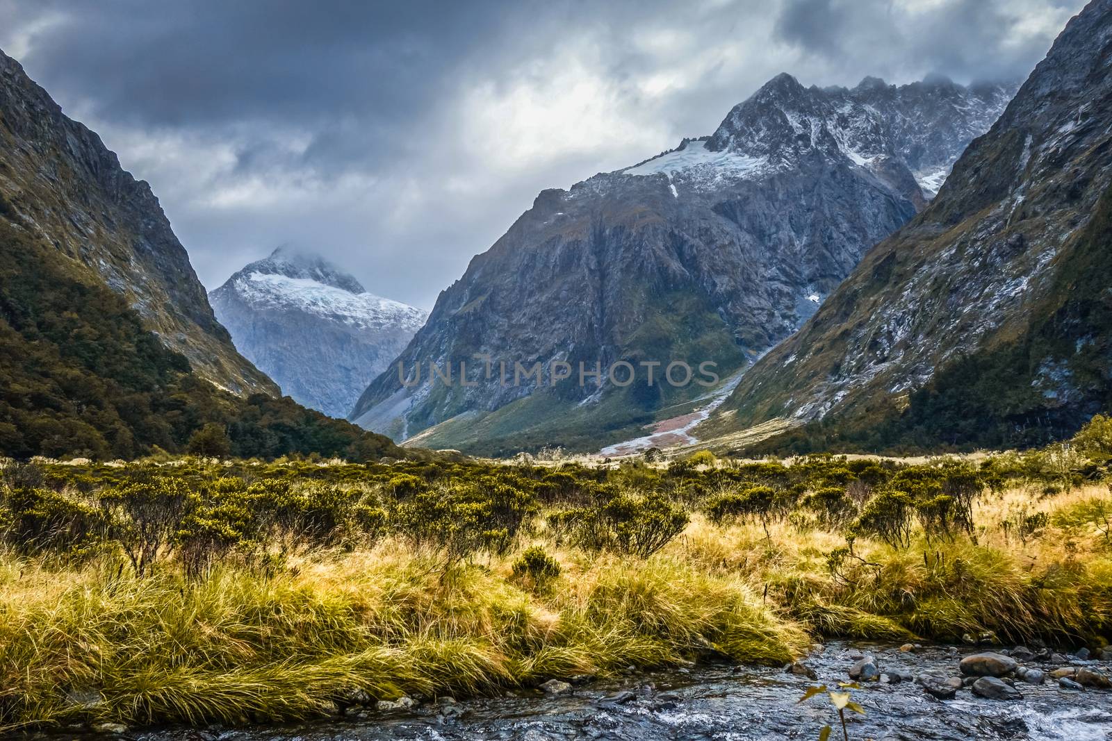River in Fiordland national park, New Zealand southland