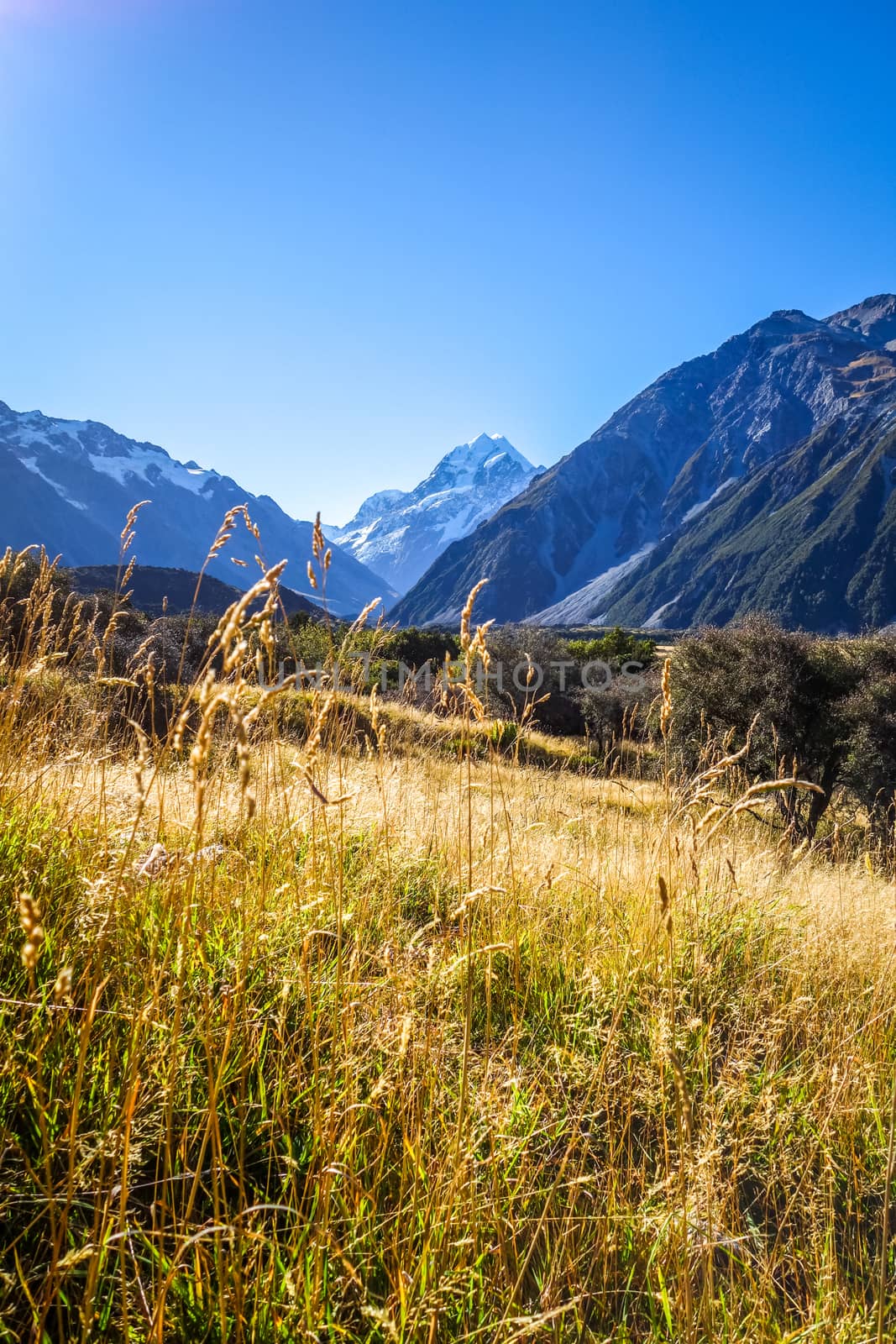 Aoraki Mount Cook mountain landscape, New Zealand