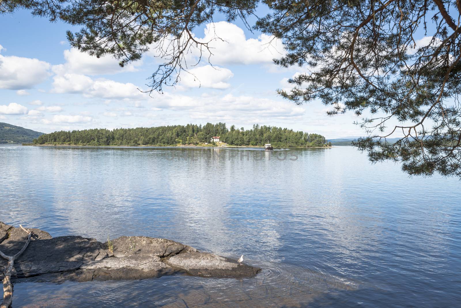 Utoya island with green forest and a house in norway near Oslo 