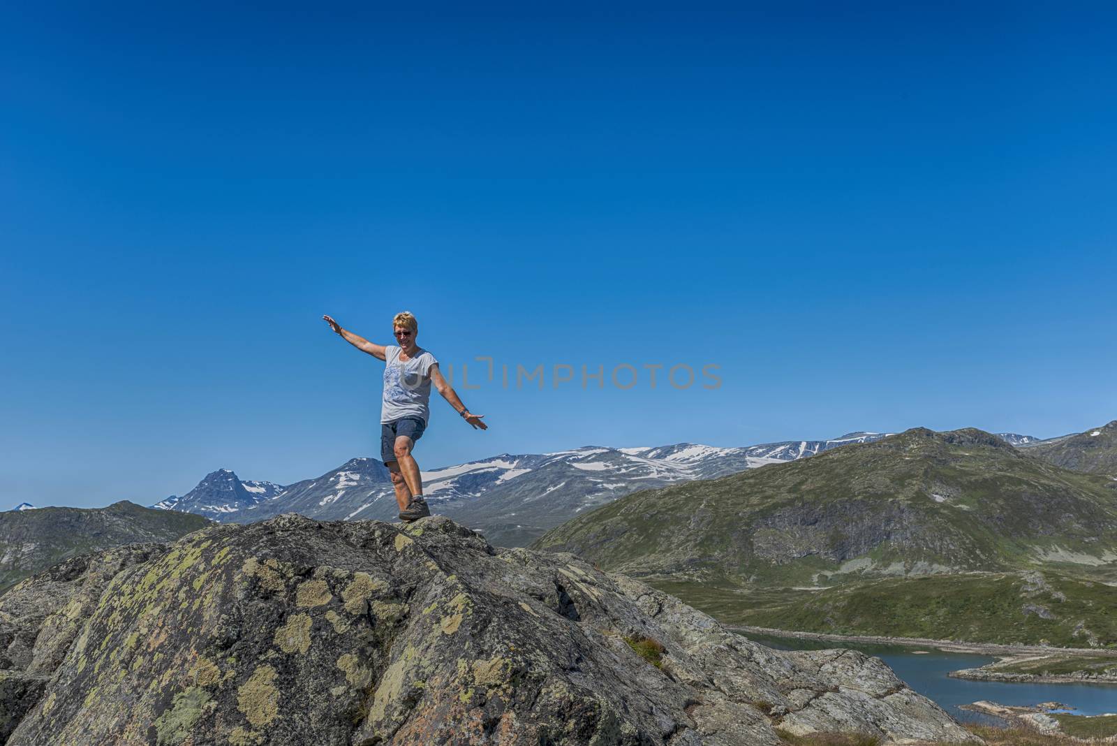 adult woman happy standing on a rock looking over the national park from bitihorn to stavtjedtet with lakes fjord and snow on the mountains