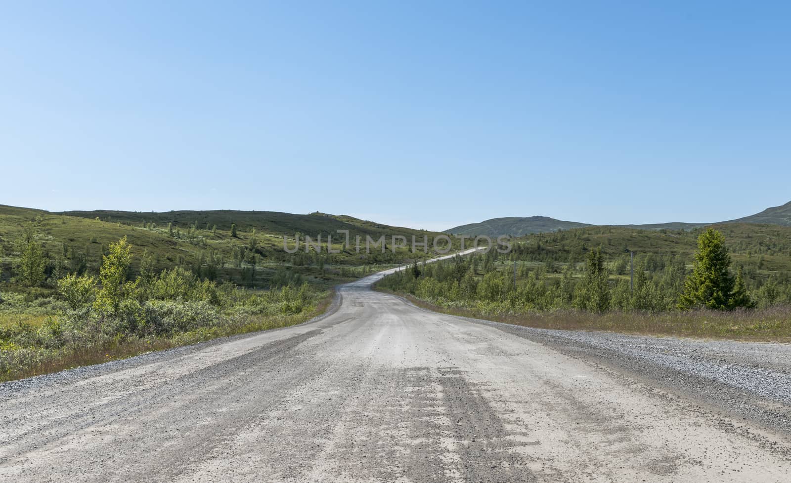 empty road in norway starting in Ulnes with the mountians and nature as background