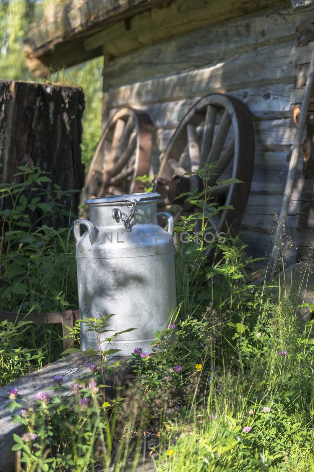 old milk churn in natural environment in fron of old wooden house in norway
