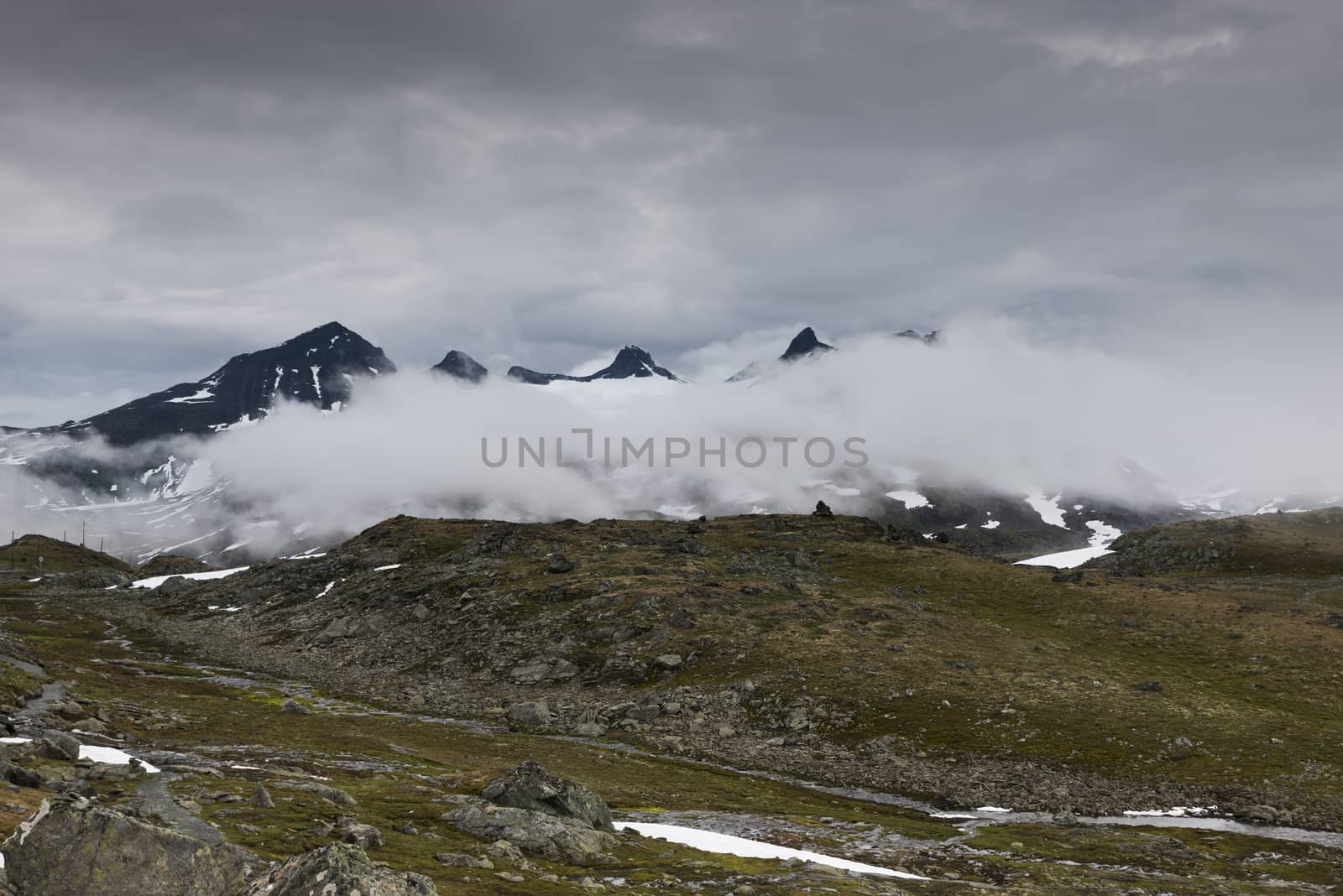 high mountain pekas above the low clouds on road 55 or the sognefjellet road, one of the most beautifull roads in norway