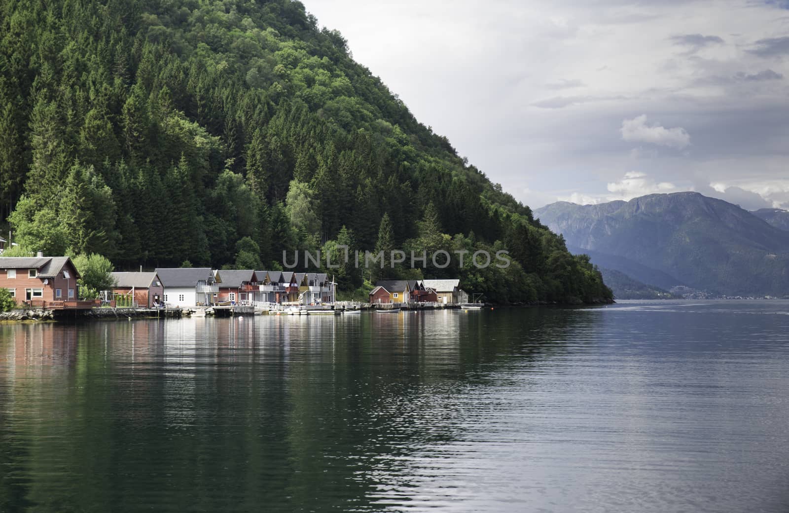 fjord sognefjord  in norway from the place called Vik with mountains and lot of nature