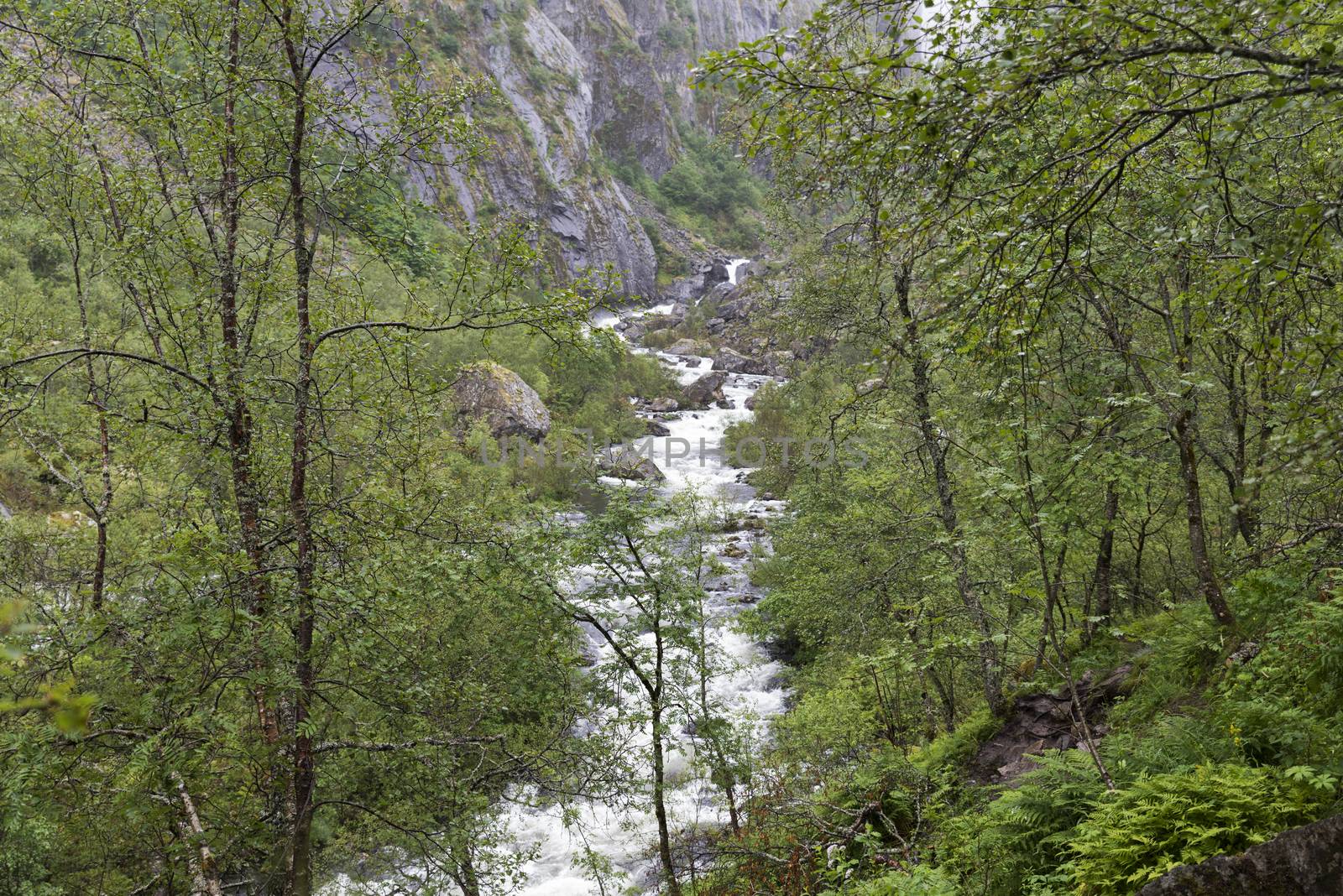 walking track to the voringfossen waterfall in norway