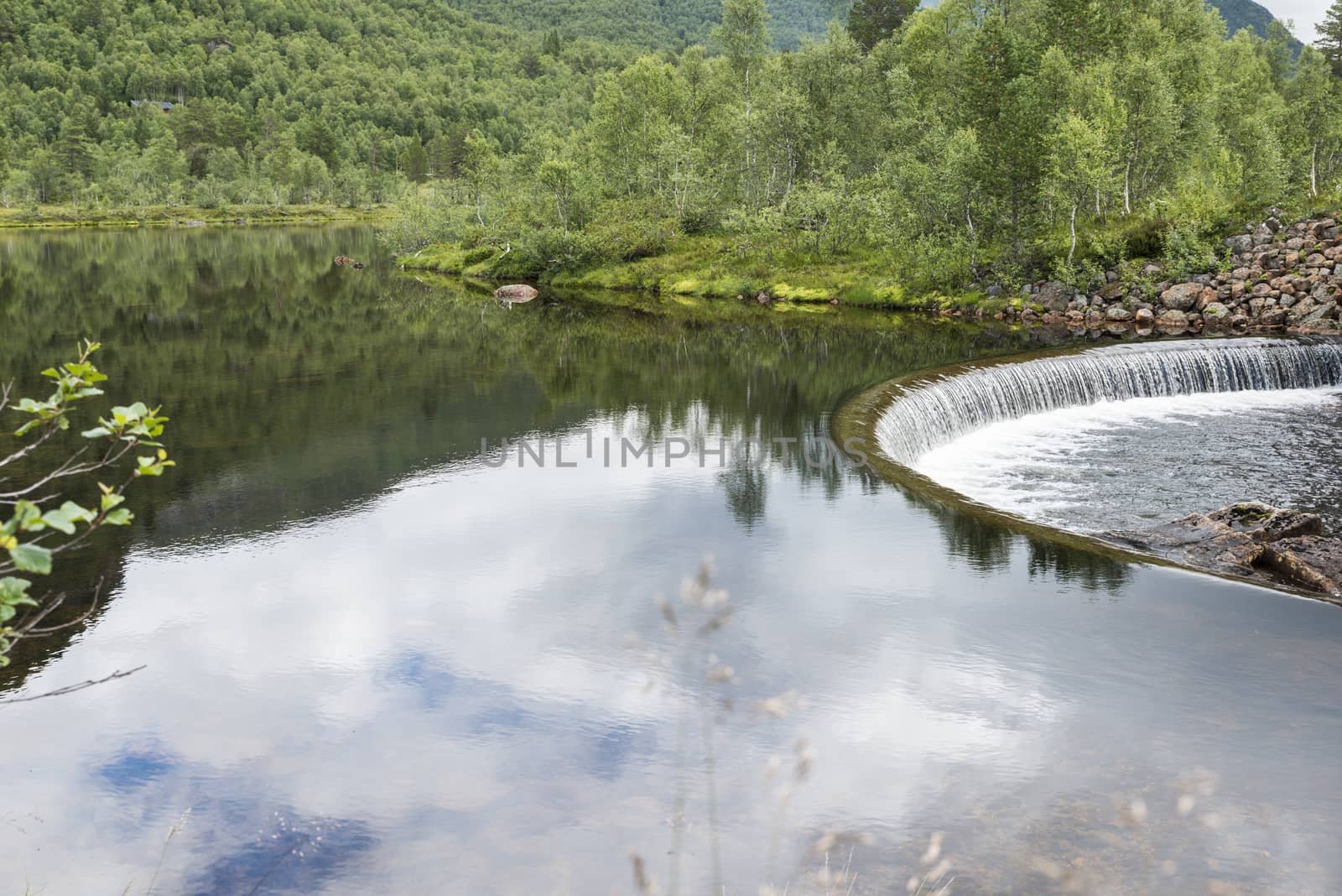 forrest with river and small waterfall in norway near valle and flateland