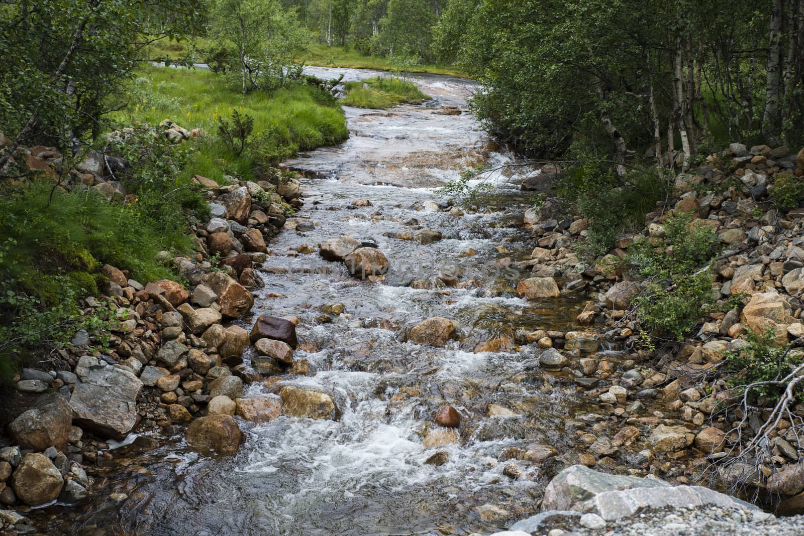 waterfall with green forest and rown rocks in norway