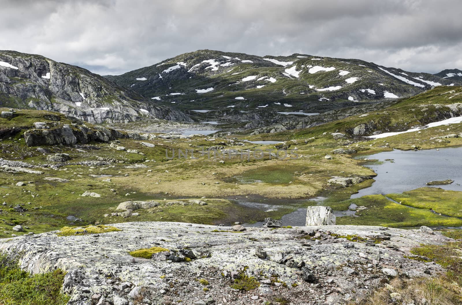 high plains in norway near valle with mountians with white snow in summer and small water ponds between the green moss on the rocks